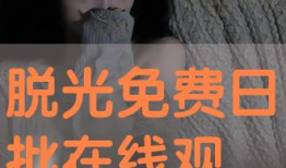 在线日批视频,内容精华与观看指南