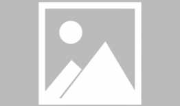 91手机看电视直播大全,海量频道任你选，畅享精彩直播盛宴